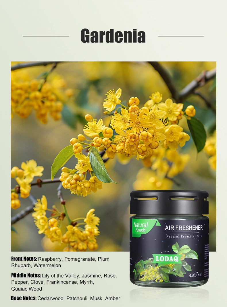 Car Solid Perfume (Glass Jar)

Long-lasting car perfume in a stylish glass jar.
Removes odors and keeps your car fresh with soothing scents.

💶 Price: €8.99 – €11.99